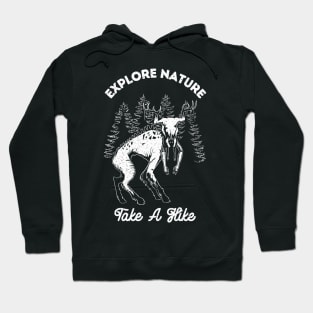 Take a Walk Hoodie